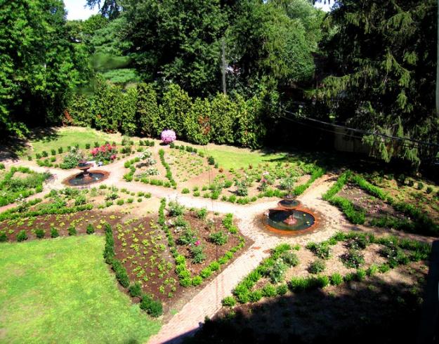 garden in progress