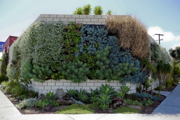 Grønne vægge meltdesignstudiomeltdesignstudio Hængende planteposer