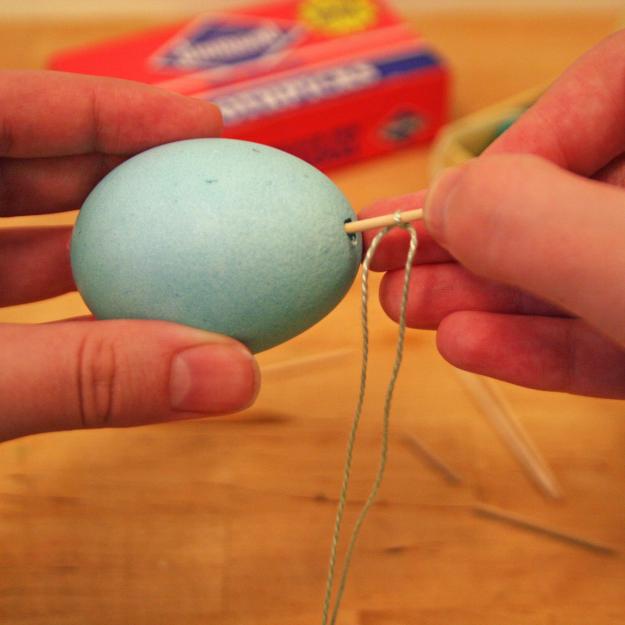 egg tree 3