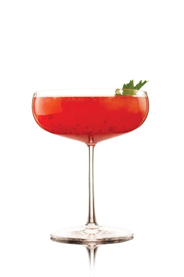  Bond & Lovage