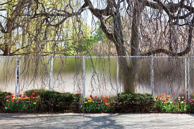 modern garden 2