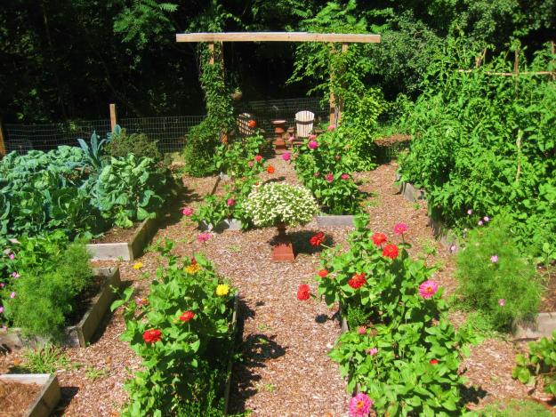 raised beds 1