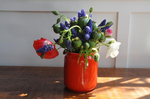 muscari and poppy arrangement 1