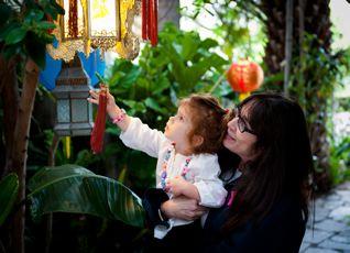 Venice Garden & Home Tour 