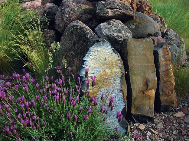 Oregon garden 1