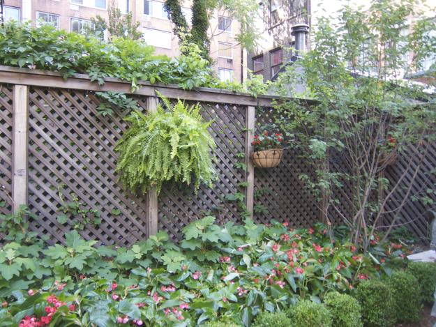 James Beard garden intro