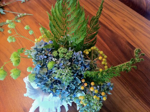 hydrangea in a shell