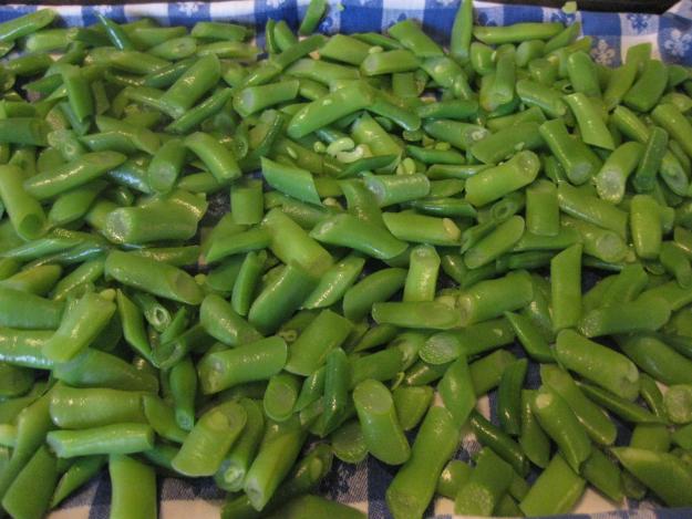 green beans