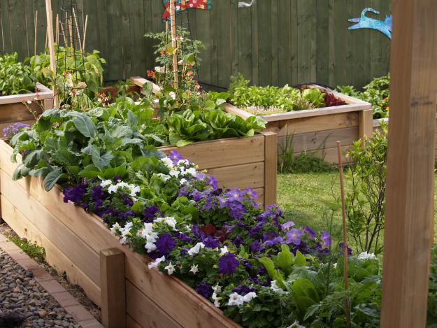 new zealand raised beds