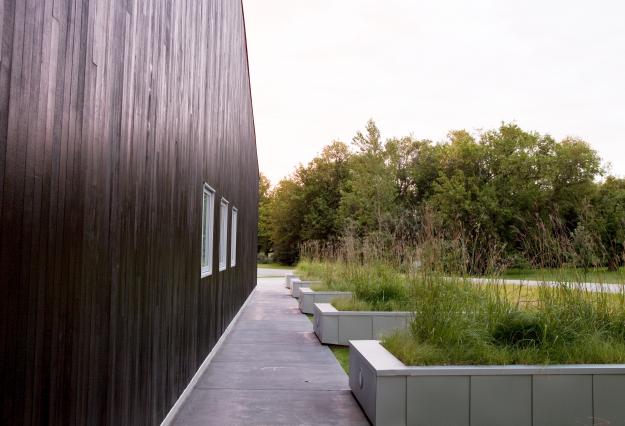 native grasses fargo