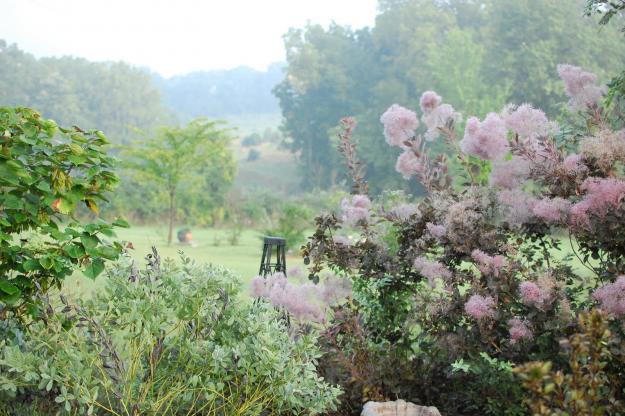 My Garden Pennsylvania