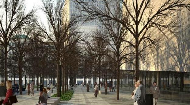trees at 9/11 memorial