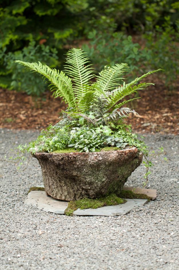 LongHouse Planters 3rd Place