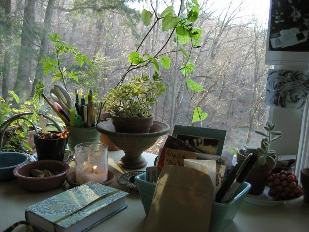 Garrison New York My Garden 1