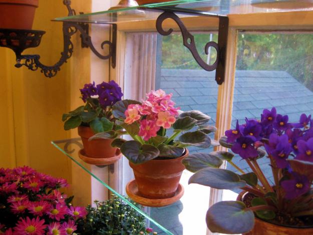 glass shelves