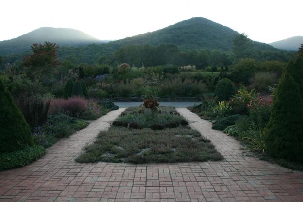 dahlia garden appalachian valley