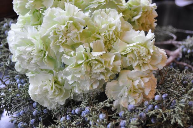 juniper and carnation holiday arrangement
