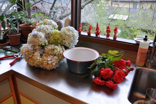 hydrangeas and roses 1