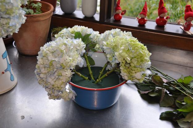 hydrangeas and roses 2