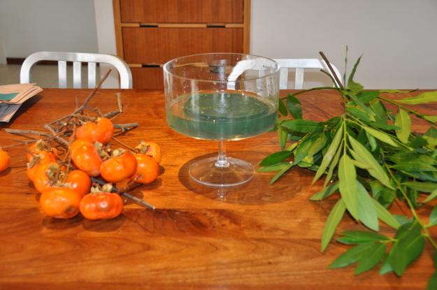 bay leaf persimmon 1