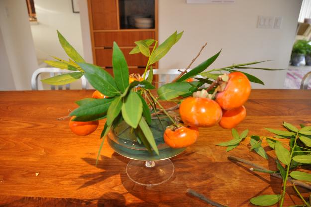 bay leaf persimmon 3