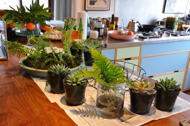 moss succulent wreath 1