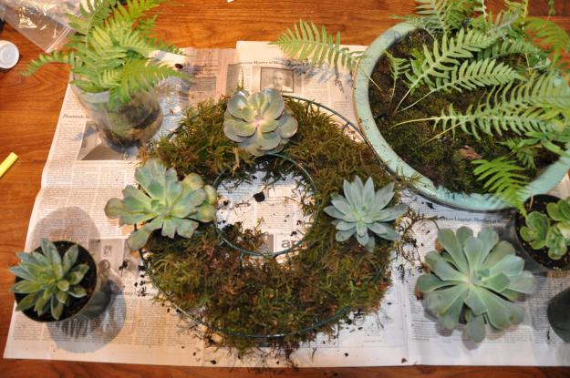 moss succulent wreath 2