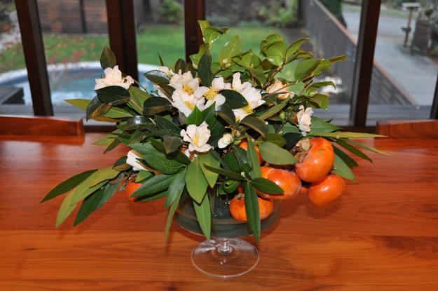 bay leaf persimmon camellias 4