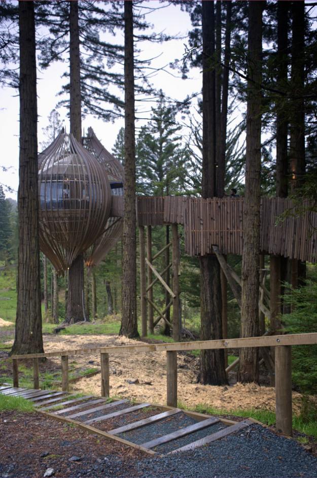 Redwoods Treehouse