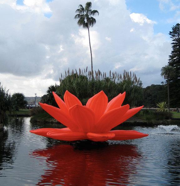 Breathing Flower