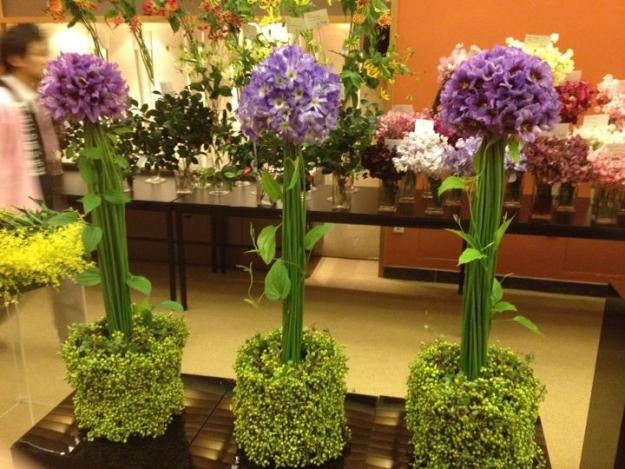 Leucocoryne and lindera at the Japan Society.