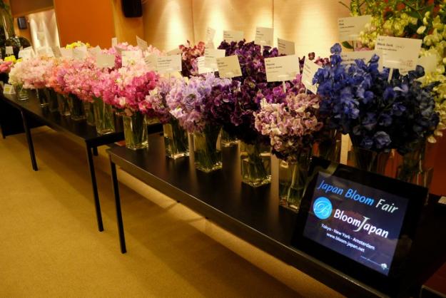 Japan Sweet Peas