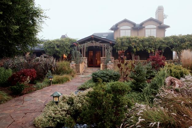 My Garden Petaluma CA winter