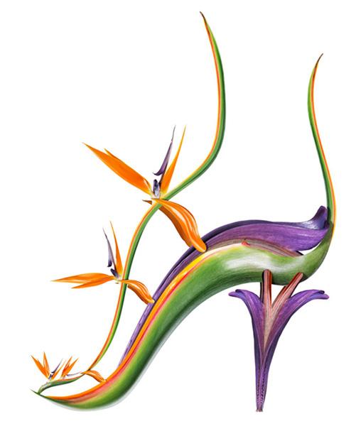 Paradise Found / Bird of Paradise