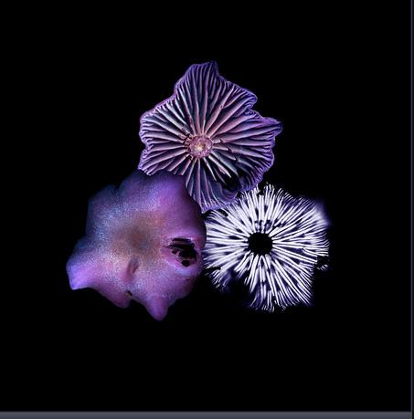 Amethyst Deceiver 