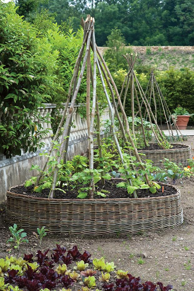 Arbors, Trellises, and the Edible Garden | Garden Design