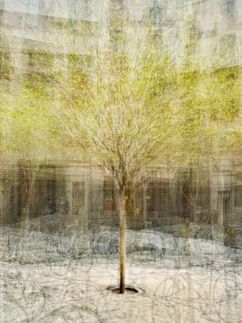 Placeta de Manuel Ribe, One