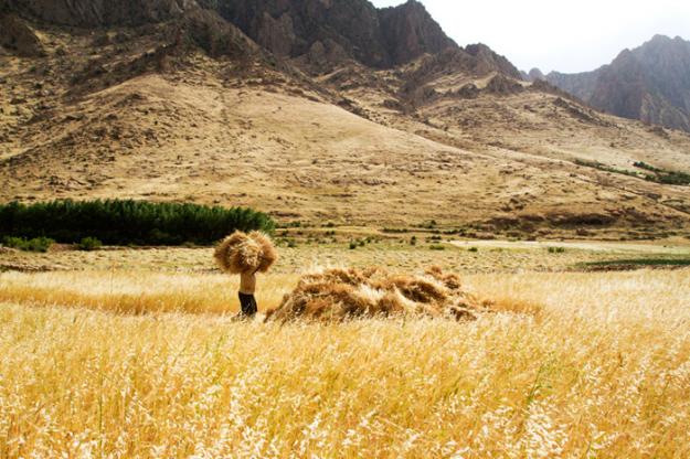 Kurdistan