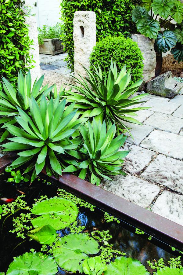 Scott Shrader's Garden