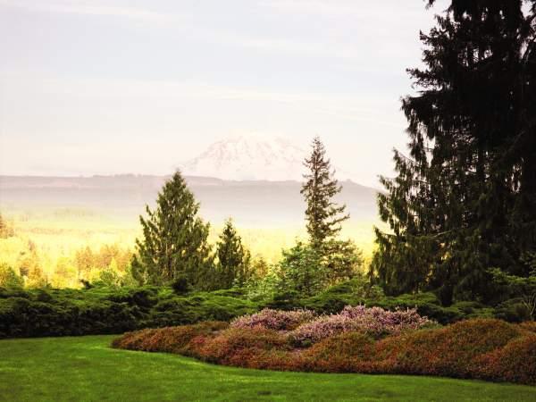 Chase Garden View