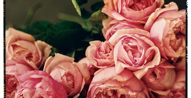 Valentine's Day Ideas