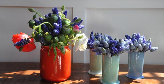 Notes from a Flower Farm: Muscari for Mother's Day