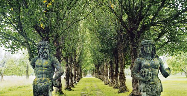 Northern Star: A Journey Through Sweden's Gardens