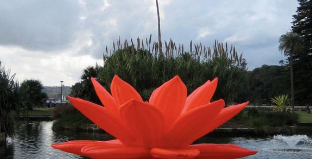 Art + Botany: Choi Jeong Hwa's Flowers