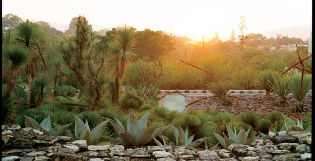 Photos of Jardin Etnobotanico de Oaxaca