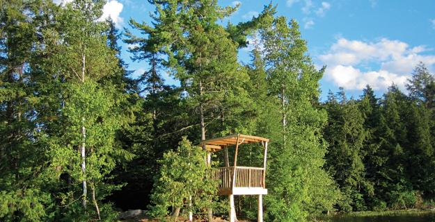 Michael Greenwood, Tree House Builder