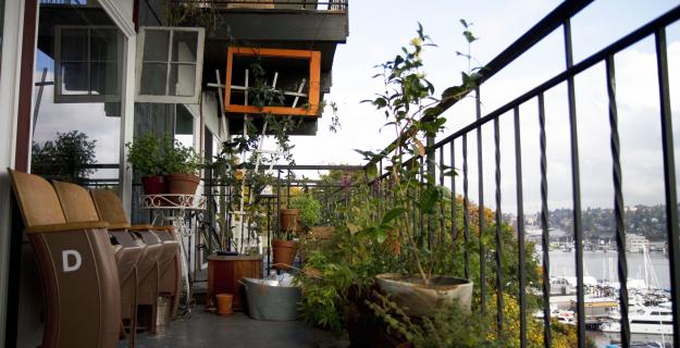 Urban Gardening: All You Need to Know to Get Started 
