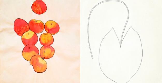 Art & Botany: Ellsworth Kelly's Plant Drawings Art & Botany: Ellsworth Kelly's Plant Drawings