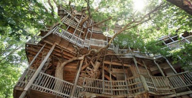 Botanic Superlatives: The World's Largest Treehouse Botanic Superlatives: The World's Largest Treehouse