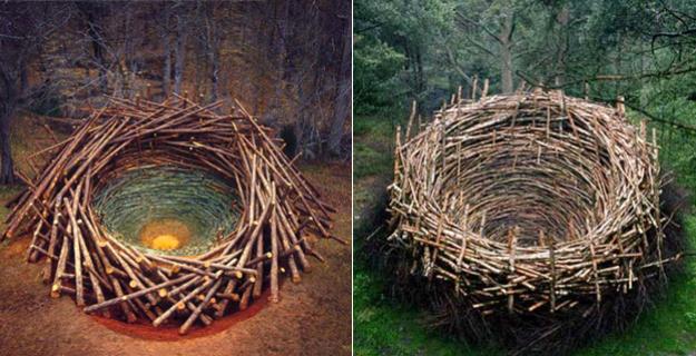 Art & Botany: Nils-Udo's Land Art Art & Botany: Nils-Udo's Land Art